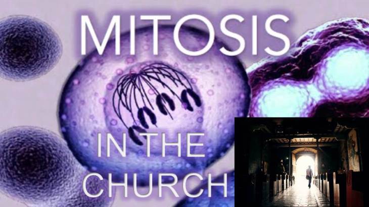 mitosis in the church